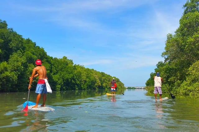 Stand Up Paddle Boarding with Pickup & Drop Off - Photo 1 of 2